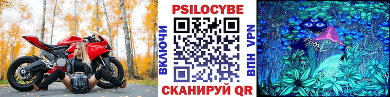 Галлюциногенные грибы мицелий  Хасавюрт 