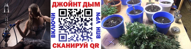 закладка  Хасавюрт  Бошки марихуана сатива 
